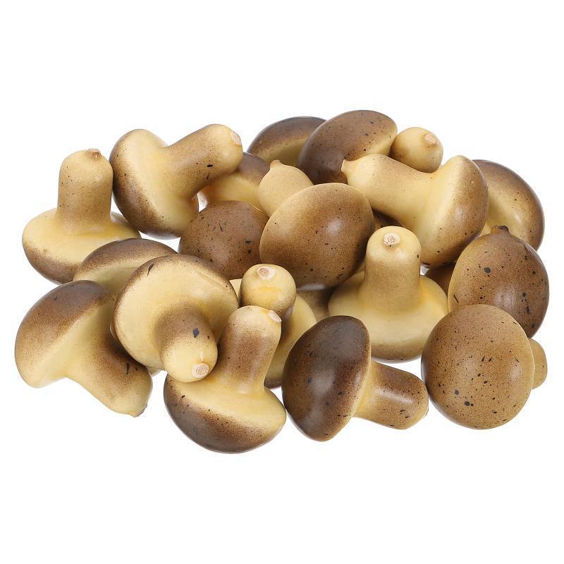 lot 58962 image: PATIKIL 20 Pcs Artificial Mini Mushroom, Foam Simulation Fake Small Mushroom Lifelike Realistic Faux Fake Fruit Model for Home Kitchen Party Decoration, Photography Props - Retail $8