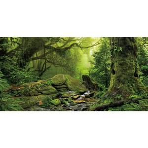 lot 3808 image: AWERT Tropical Forest Terrarium Background Stream Green Huge Tree Reptile Habitat Background Foggy Rainforest Aquarium Background 60x24 inches Durable Polyester Background