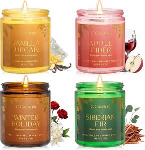 lot 3978 image: Winter Scented Candles, Holiday Candles for Home, Aromatherapy Soy Candles Gifts Set for Women Men, VanillaFirApple CiderWinter Holiday