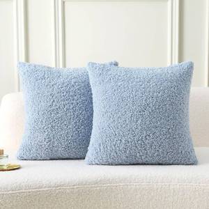 lot 4279 image: FUTEI Light Blue Throw Pillow Covers 24x24 Inch Set of 2,Furry Faux Fur Teddy Boucle Textured Cushion Covers,Soft Fluffy European Pillow Shams,Home Decor for Couch Bed Living Room Office Car