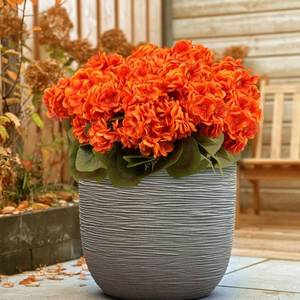 lot 4398 image: MERIXMAS 6 Bundles Silk Geraniums Artificial Flowers for Outdoors, UV Resistant Faux Plants Realistic for Garden Patio Porch Window Box Home Indoor Outdoor Decor (6, Orange-red)