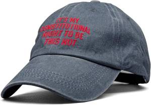 lot 4490 image: XQLZY Its My Constitutional Right to Be This Hot Embroidery Adjustable Baseball Cap, Human Rights Hats, Motivational Social Justice Baseball Hat Gifts for Women Men Progressive Liberal Activist