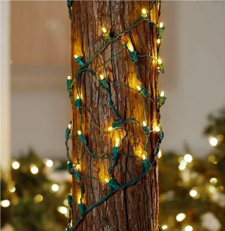 lot 4421054 image: Home Accents Holiday 150 LED Ribbon Net Lights Warm White - Retail $37