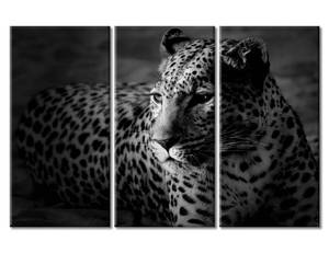 lot 59140 image: TUMOVO Canvas Painting Wall Art Leopard Canvas Prints Black and White Animals Wildlife Photography Pictures Artwork for Home Walls Stretched and Framed Posters Room Decor for Men, 42x28 Inch