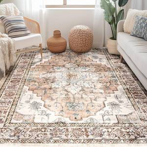lot 13953 image: BESTSWEETIE 5x7 Area Rug Washable Rugs for Living Room, No Pile Boho Carpet for Entryway Bedroom Dinning Room, Vintage Carpet Print Distressed Non-Slip, 5 x 7 ft, Orange Pink Brown Earth Tones