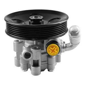 lot 20224 image: 04892093AA Power Steering Pump with Pulley, For Chrysler 300 2005-2010, For Dodge Challenger 2008-2010, For Charger 2006-2010, For Magnum 2005-2008, Replace# 21-5439 4782523AD