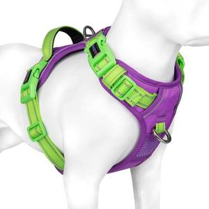 lot 10360 image: PHOEPET No Pull Dog Harness, Unique Colors Reflective Adjustable Dog Vest, with Soft Training Handle Metal Clips for Small Medium Large Dogs (Purple Base & Green Straps,XS)