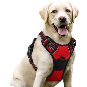 lot 6410 image: rabbitgoo Dog Harness, No-Pull Pet Harness with 2 Leash Clips, Adjustable Soft Padded Dog Vest, Reflective No-Choke Pet Oxford Vest with Easy Control Handle for Large Dogs, Red, L