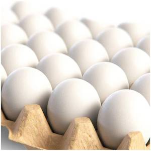 lot 20376 image: CALPALMY 24 Pieces Hyper-Realistic White Wooden Eggs - 2 Dozen Fake Easter Eggs for Painting, Decorating, Crafting, Pretend Play, Simulation Toys, Fake Food, Nest Box Training