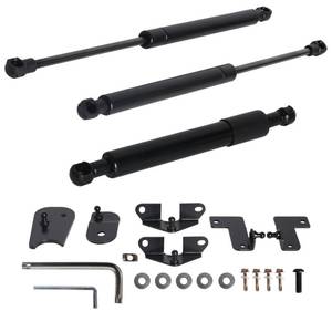 lot 2016 image: Riyhch Hood Struts Hood Shock Set,Front Hood Rod and Tailgate Assist Shock for Ford Maverick 2022 2023 2024,Hood Lift Support Shock Struts
