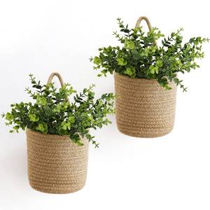 lot 9665 image: Dahey 2 Pack Wall Hanging Rope Basket (6.5W�7H) with Artificial Eucalyptus, Jute Woven Storage Organizer Flower Plants Basket Farmhouse Rustic Wall Decor for Porch Living Room Bedroom Entryway,Brown