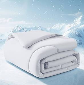 lot 9742 image: Cooling Comforter TwinTwin XL Size, All Season Blanket for Hot Sleepers, Lightweight Comforter for Night Sweats, Double-Sided Cooling Bedding for Bed, Sofa, Office, Camping (Light Gray,6880)