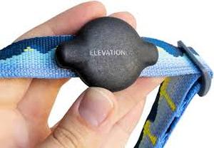 lot 4474 image: TagVault Pet Compact Waterproof AirTag Collar Mount