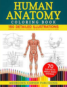 lot 12015 image: Human Anatomy Coloring Book with 150 Detailed Illustrations