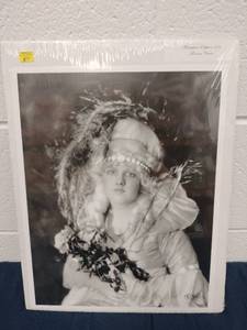 lot 60020 image: Masterpiece Editions 351 Florence Crane