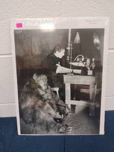 lot 60277 image: Masterpiece Editions 795 Bela Lugosi Murders in The Rue Morgue