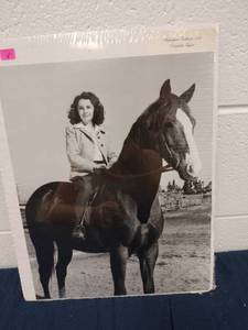 lot 60312 image: Masterpiece Editions 242 Elizabeth Taylor