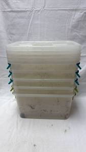 lot 185 image: Sterilite Clear Storage Containers with Snap Lids Set