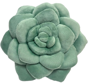 Green Succulent Decorative Throw Pillow