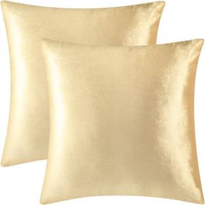 lot 72487 image: 2 Pack 20x20 Pillow Cover Velvet Pillow Covers, Square Throw Pillow Covers for Living Room Decorations Throw Pillow Case, Throw Pillow Cover Cushion Cover for Home Sofa Bedroom Car, Champagne - Retail $9