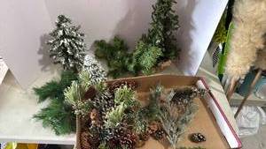 lot 2107 image: Trees and greenery