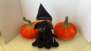 lot 2141 image: Ty Beanie Baby Halloween Witch Cat with Decorative Pumpkins