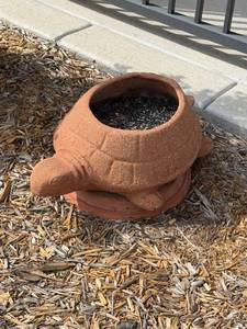 lot 3002 image: Clay turtle planter 22 in long