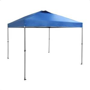 lot 33684 image: Everbilt 10 ft. x 10 ft. Blue Instant Canopy Pop Up Tent (Missing Tent)