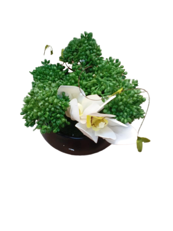 lot 35543 image: Fake Japanese Bonsai Tree with White Orchid Flower Arrangement