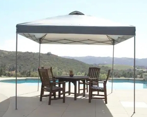 lot 35972 image: 10 ft. x 10 ft. Grey Instant Canopy Pop Up Tent - Retail $128