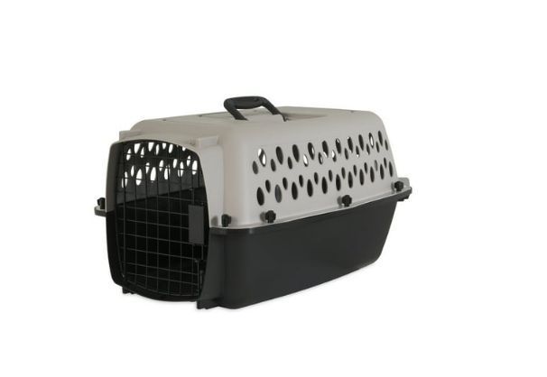 lot 16558 image: Revlon One-Step Root Booster Round Brush Dryer and Style