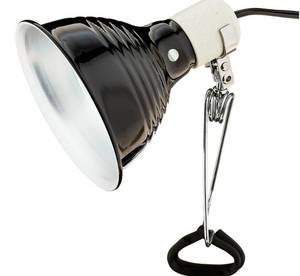 lot 38773 image: Vibrant Life Reptile Terrarium Clamp Lamp with OnOff Switch, 5.5
