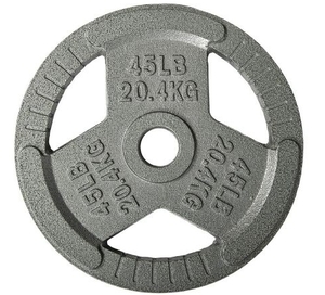 lot 36198 image: Iron Weight Plates 45lb