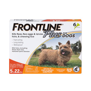 lot 38933 image: FRONTLINE Plus for Dogs Flea and Tick Treatment  Small Dog  5-22 lbs  Orange Box  6 CT