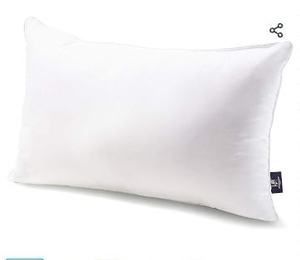 lot 36249 image: Phantoscope 12x20 Pillow Insert - Throw Pillow Insert with 100% Cotton Cover - Microfiber Lumbar Square Form Pillow Sham Stuffer 2 Units Red cover