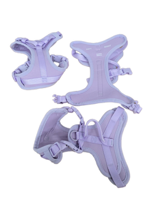 lot 41032 image: Purple Dog Harness Set with Adjustable Straps, Set of 3, XS