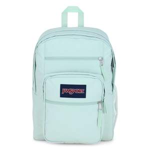 lot 40113 image: JanSport Big Student 17.5 Backpack - Fresh Mint