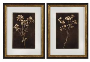 lot 37248 image: My Texas House Dark Floral Imprints Framed Art (18x24) - Retail $67