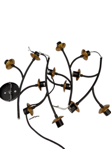lot 40297 image: 12 Light Cluster Pendant Light Fixture Black and Gold