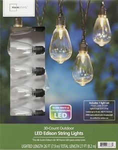 lot 41393 image: MS 30CT Color Changing Edison Lights