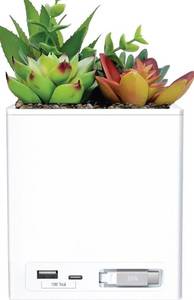 lot 41427 image: Tech Squared Power Bloom Charging Decorative Plant with Built-in retractable USB-C cable DOES NOT WORK