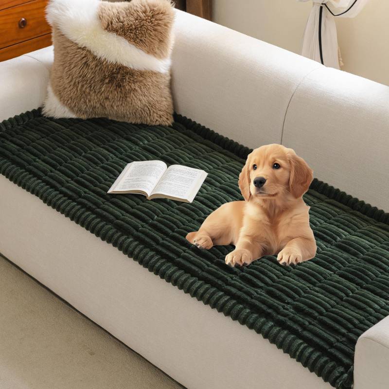 lot 9483 image: MYSKY HOME Couch Covers for 3 Cushion Sofa Pet Friendly, Couch Cover for Dogs, Sofa Covers for Pets Washable, Soft Non-Slip Sofa Slipcovers Furniture Protector Covers, Moss Green, 27.6 x 70.9