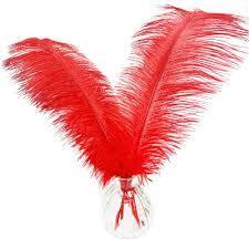 lot 2438 image: Red decoration feathers