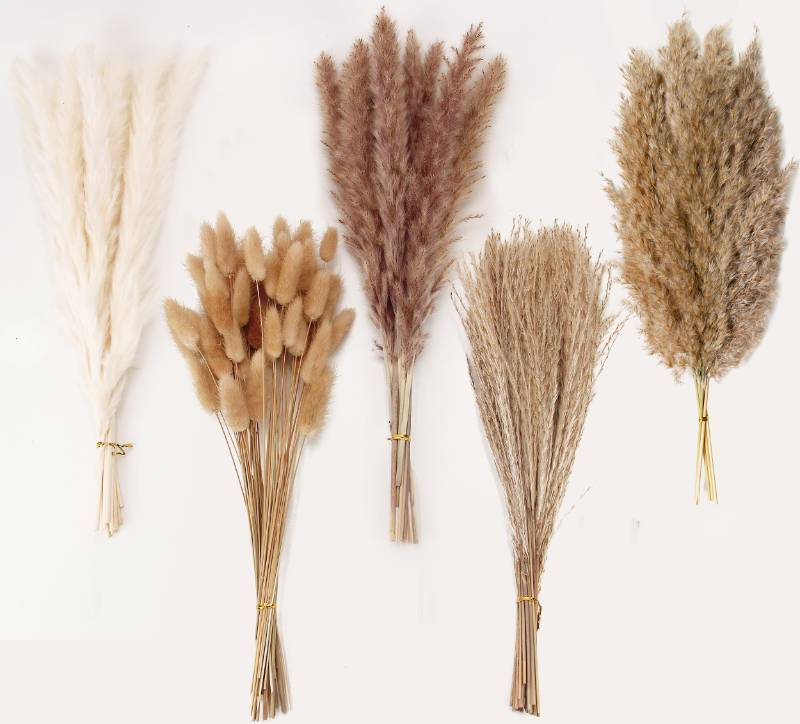 lot 15928 image: Natural Dried Pampas Grass Decor - 110 Pcs, Contains White Bunny Tails, Artificial Flowers for Bathroom, Office and Baby Shower Decor