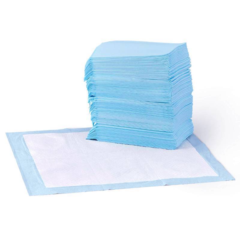 lot 19935 image: Amazon Basics Leak-Proof Dog and Puppy Potty Training Pee Pads with Quick-Dry 5-Layer Super Absorbent Surface for Dog Training, Floor Protection, Regular Size 22x22, Blue & White, 50 Count