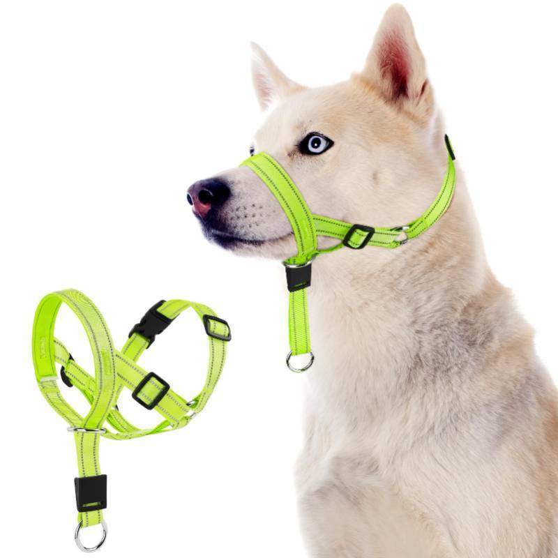 lot 4332 image: DOMIGLOW No-Pull Dog Headcollar - Reflective Halter Collar for Dogs, Padded Head Collar to Stop Heavy Pulling, Anti-Pull Muzzle Leash (Green, Medium)