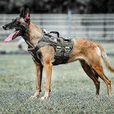 lot 11084 image: Tactical Dog Harness K9 Military Style Pet Vest