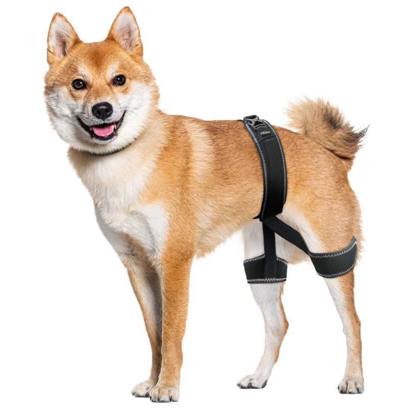 lot 14248 image: CHAMIN Dog Hip Brace �� Support Harness for Hip Dysplasia, Joint Pain Relief, Prevents Hip Joint Issues, Orthopedic Support for Dogs(Large)