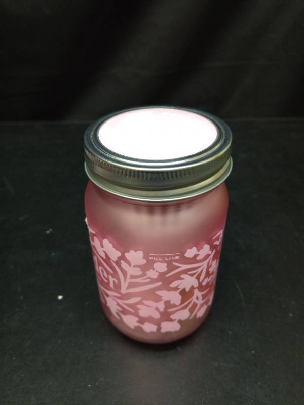 lot 2017 image: Modern Sprout Lavender Grow Kit in Mason Jar - Retail $13