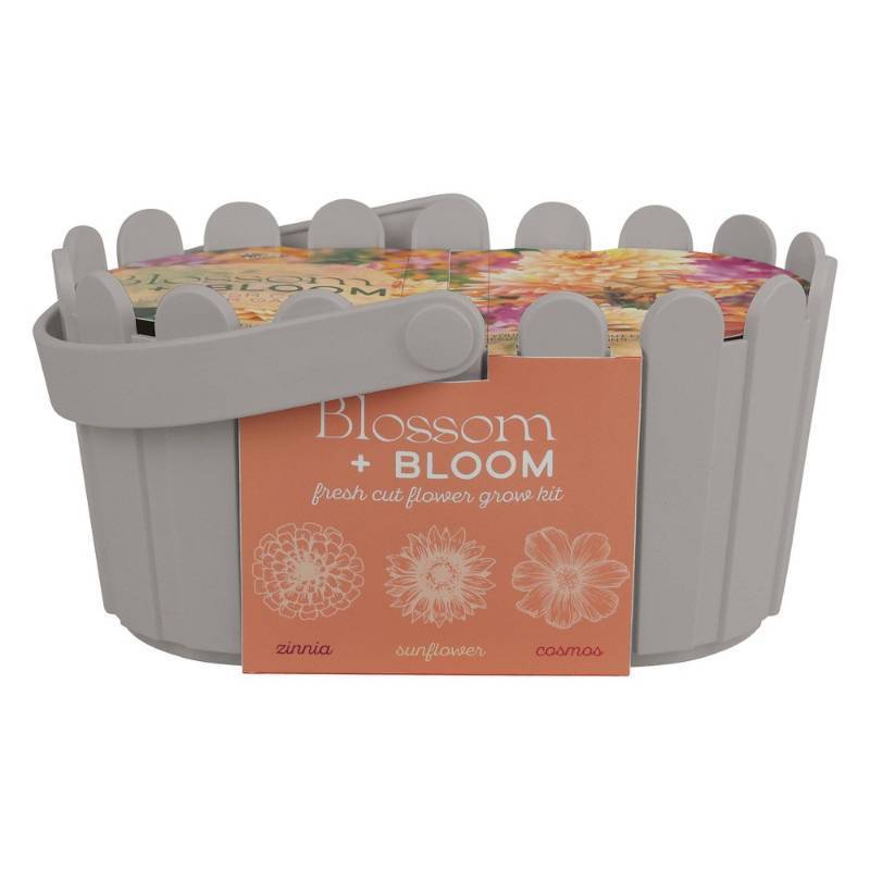 lot 2126 image: Buzzy Seeds Blossom and Bloom Fresh Cut Flower Garden Seed Kit